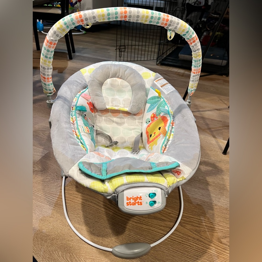 Baby bouncer